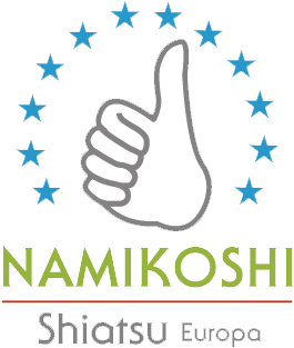 namikoshi-europe-logo